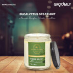 Bath & Body Works Eucalyptus Spearmint Mason Single Wick Candle
