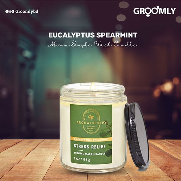 Bath & Body Works Eucalyptus Spearmint Mason Single Wick Candle